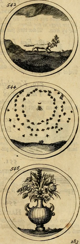 An illustration from Symbola et emblemata, 1705, leaf 192