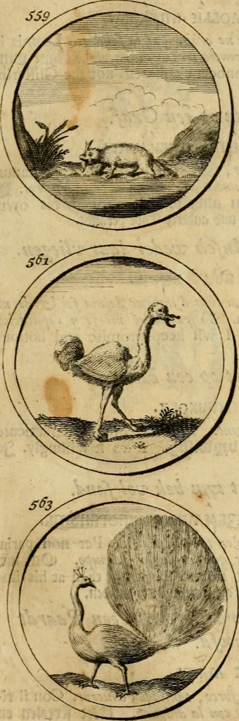 An illustration from Symbola et emblemata, 1705, leaf 198