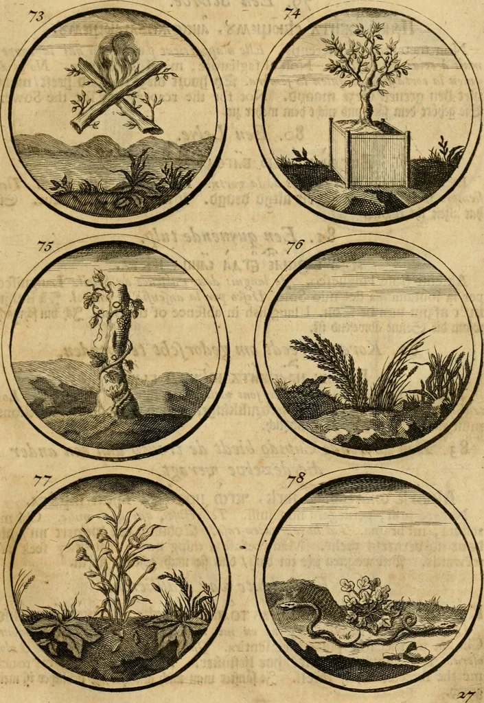 An illustration from Symbola et emblemata, 1705, leaf 36