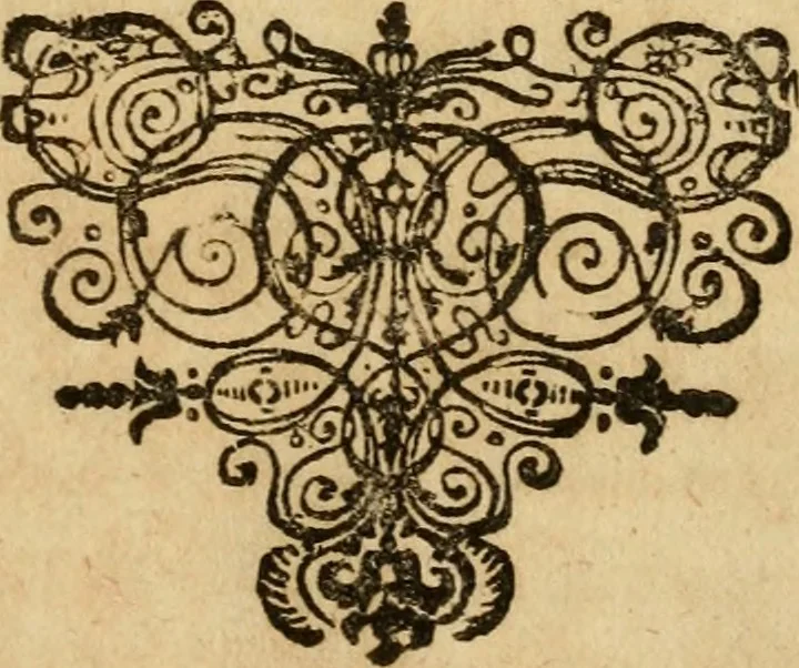 An illustration from Symbola et emblemata, 1705, leaf 8