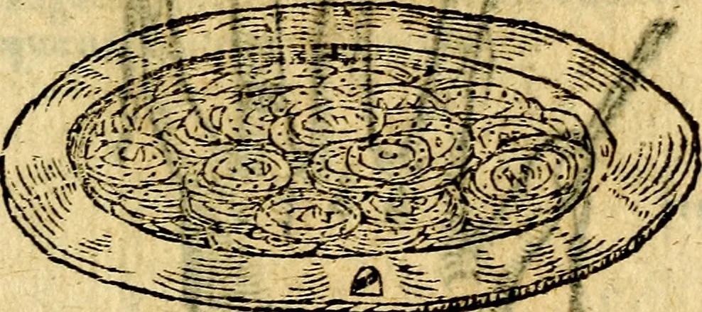 An illustration from Symbola heroica, 1583, leaf 106