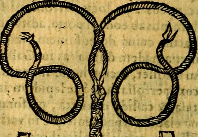 An illustration from Symbola heroica, 1583, leaf 139