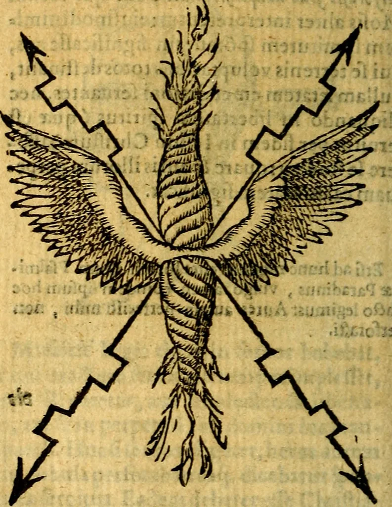 An illustration from Symbola heroica, 1583, leaf 145