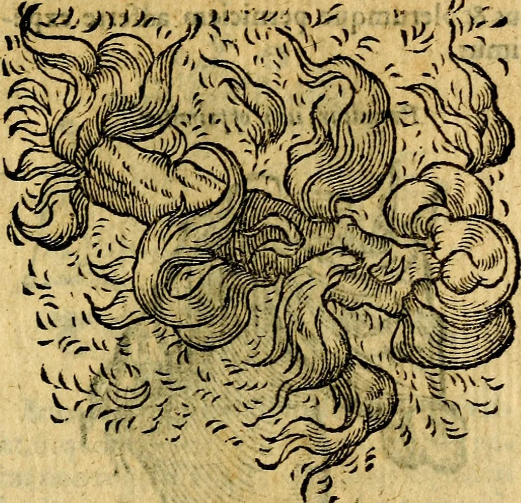 An illustration from Symbola heroica, 1583, leaf 152