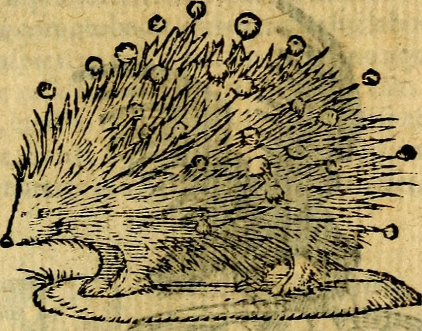 An illustration from Symbola heroica, 1583, leaf 154