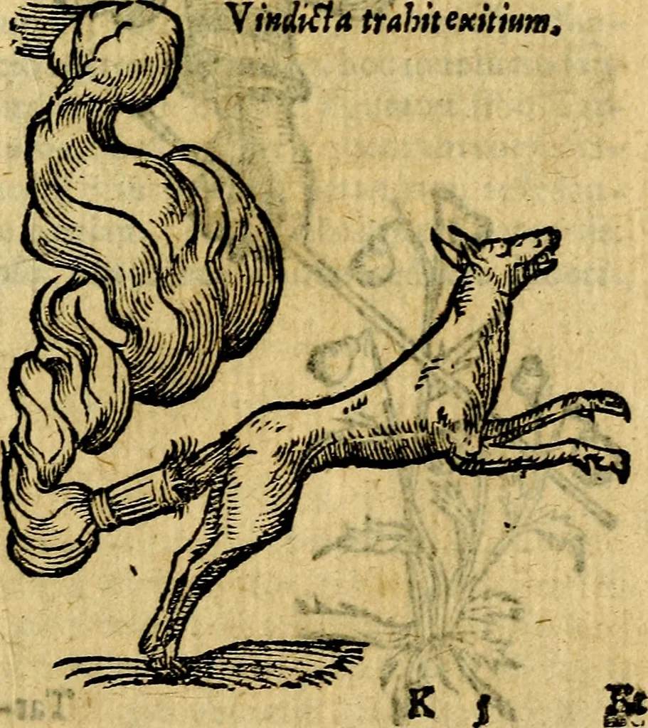An illustration from Symbola heroica, 1583, leaf 156