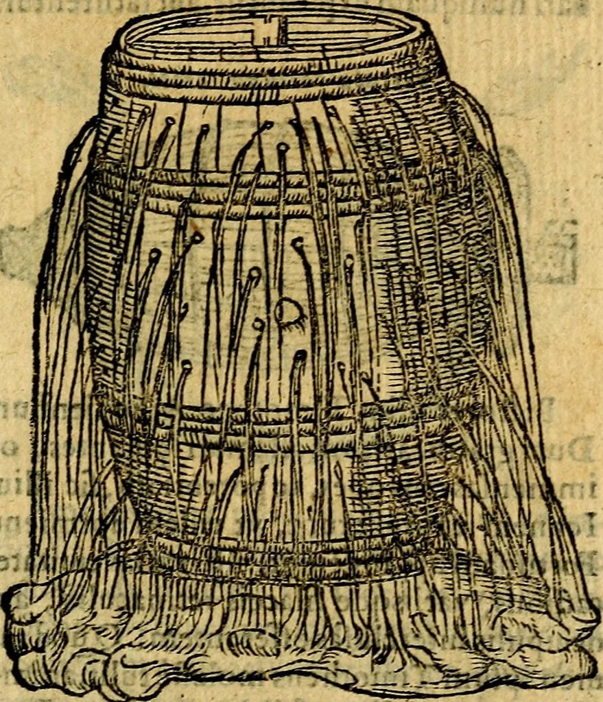An illustration from Symbola heroica, 1583, leaf 160
