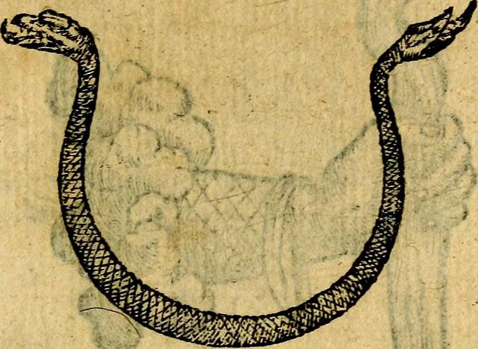 An illustration from Symbola heroica, 1583, leaf 162