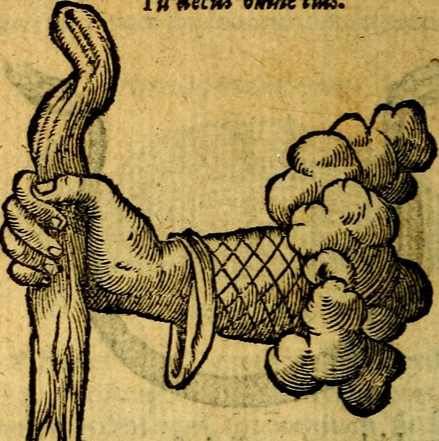 An illustration from Symbola heroica, 1583, leaf 163