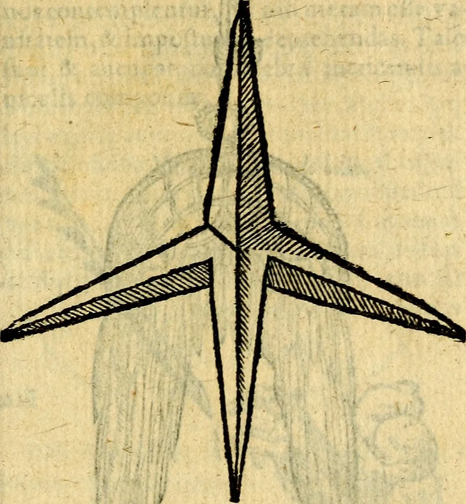 An illustration from Symbola heroica, 1583, leaf 166