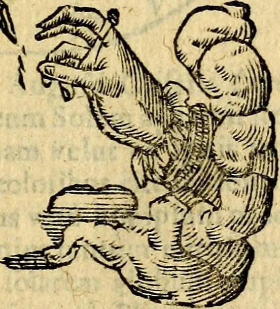 An illustration from Symbola heroica, 1583, leaf 168