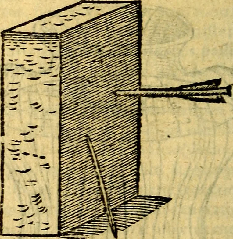 An illustration from Symbola heroica, 1583, leaf 173