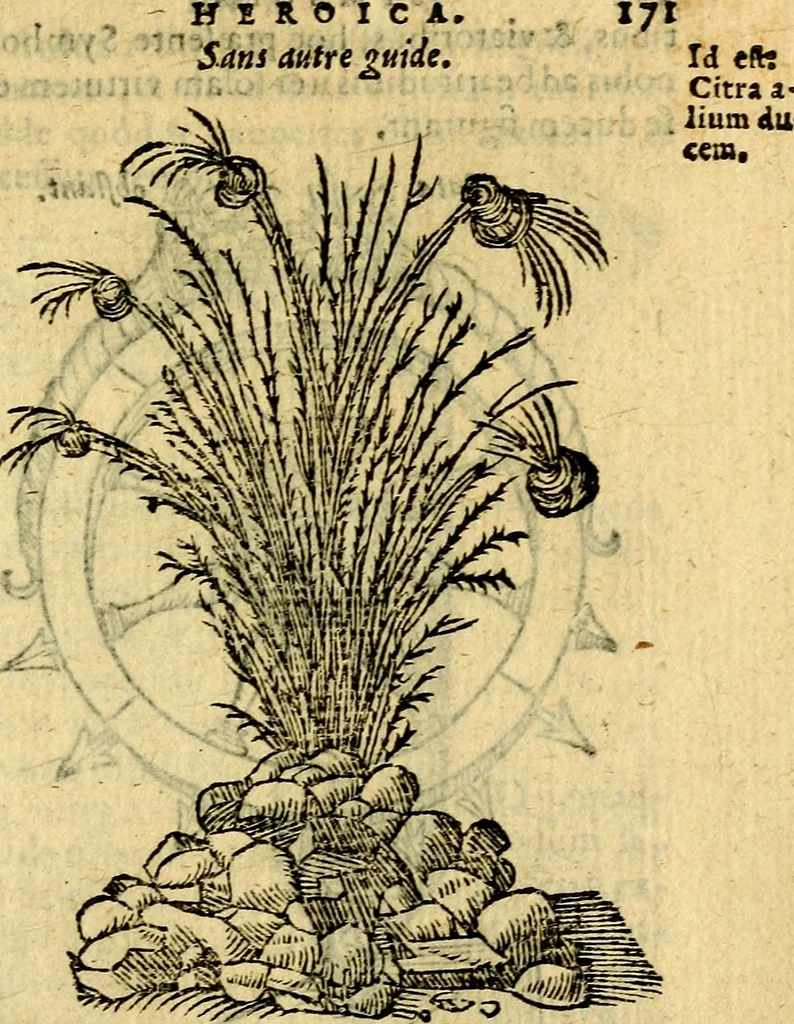 An illustration from Symbola heroica, 1583, leaf 174