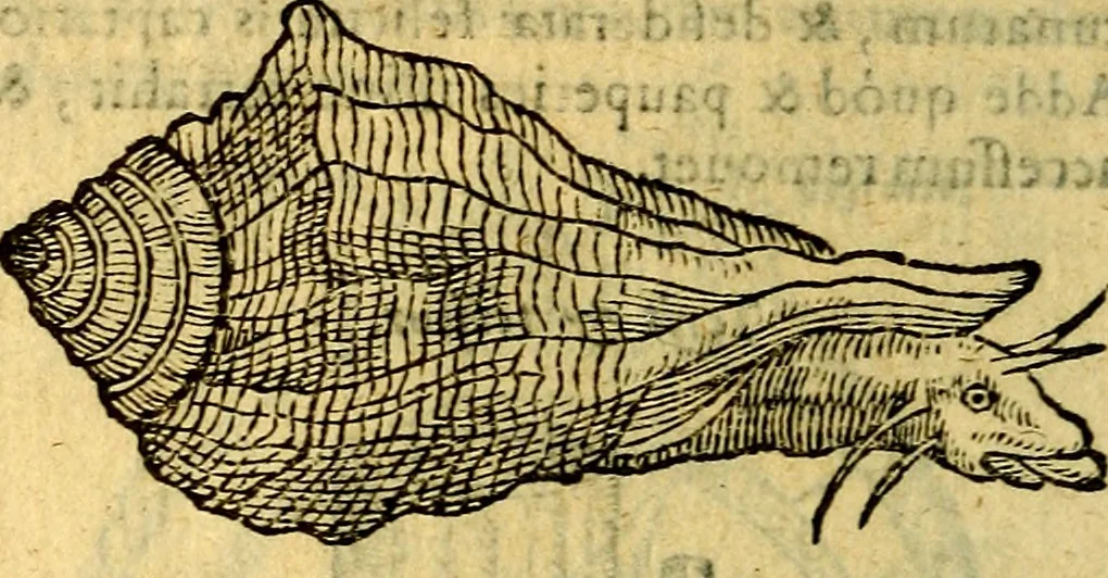An illustration from Symbola heroica, 1583, leaf 177
