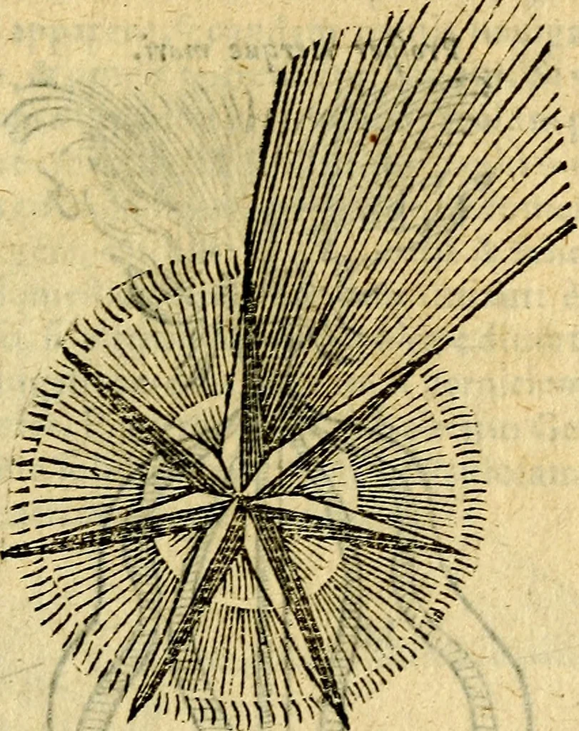 An illustration from Symbola heroica, 1583, leaf 178