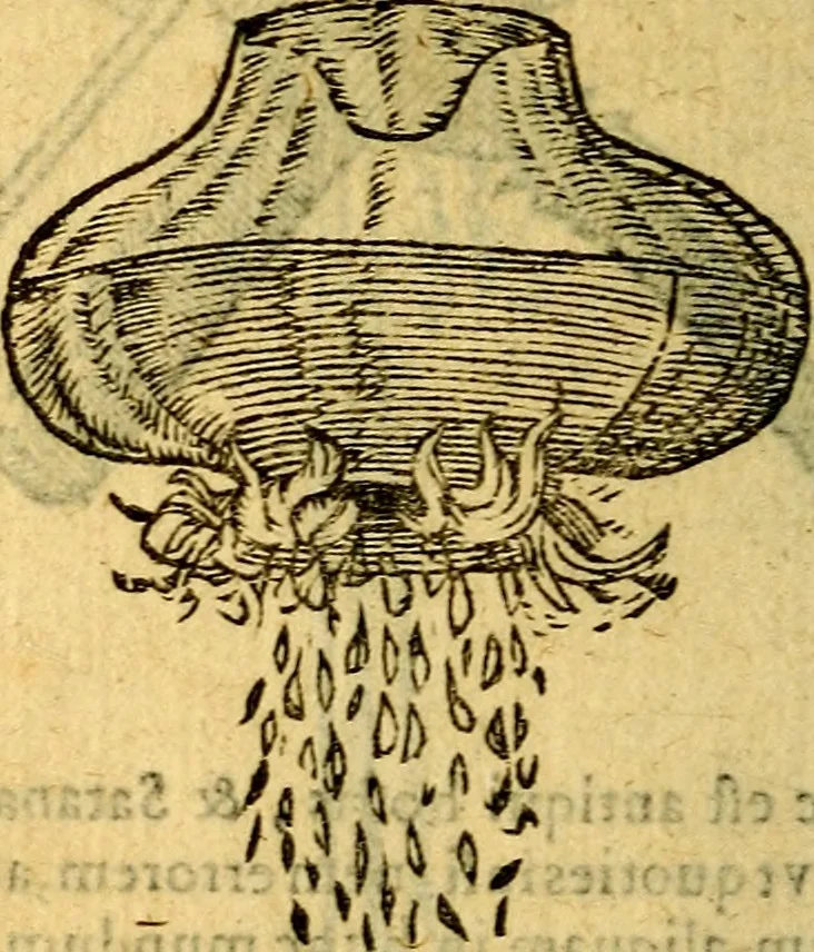 An illustration from Symbola heroica, 1583, leaf 195