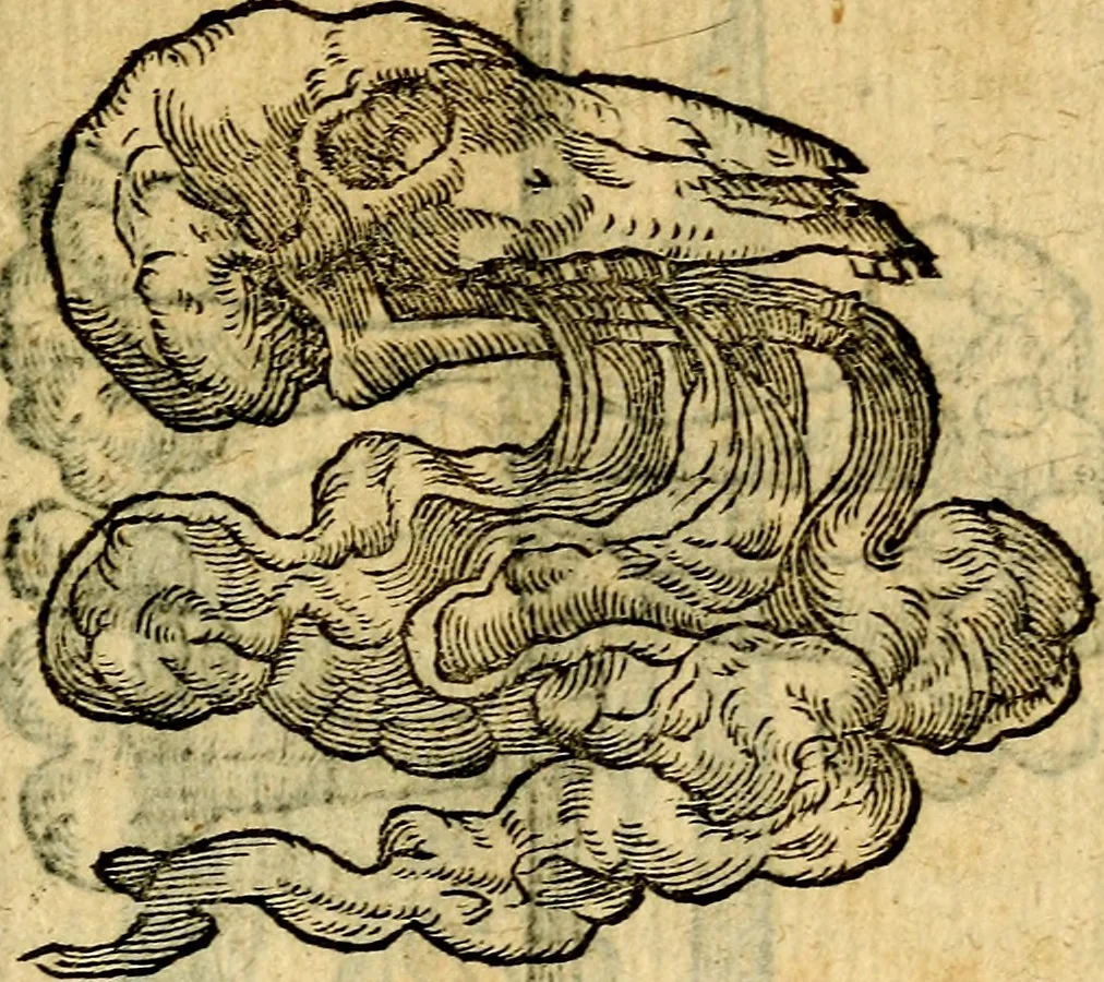 An illustration from Symbola heroica, 1583, leaf 196