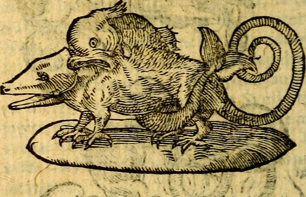 An illustration from Symbola heroica, 1583, leaf 203