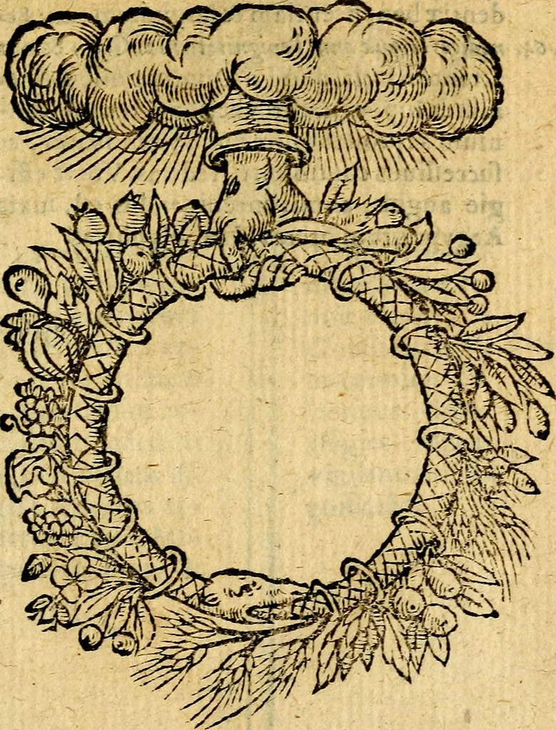 An illustration from Symbola heroica, 1583, leaf 206