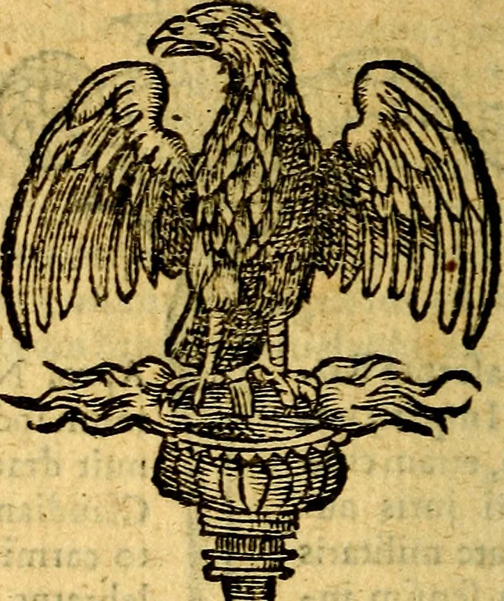 An illustration from Symbola heroica, 1583, leaf 209