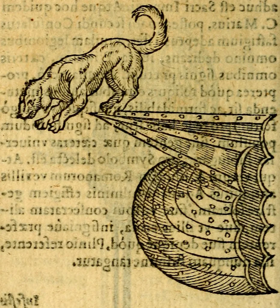 An illustration from Symbola heroica, 1583, leaf 211