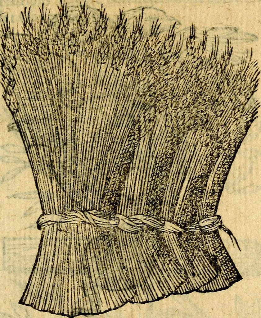 An illustration from Symbola heroica, 1583, leaf 216