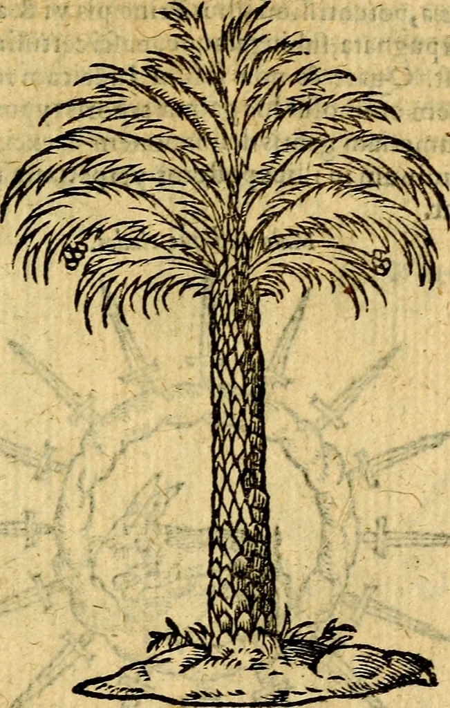 An illustration from Symbola heroica, 1583, leaf 220