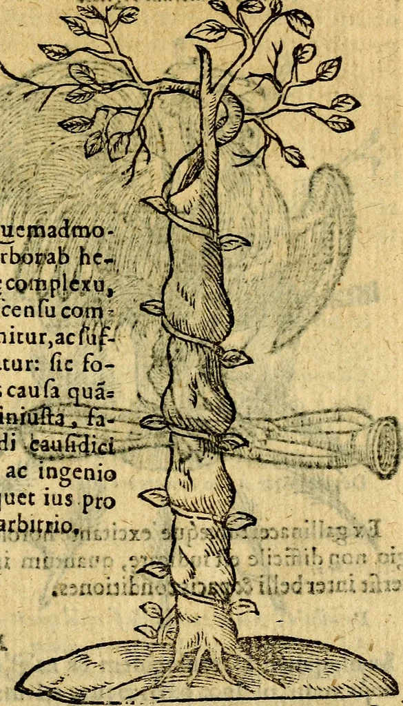 An illustration from Symbola heroica, 1583, leaf 224