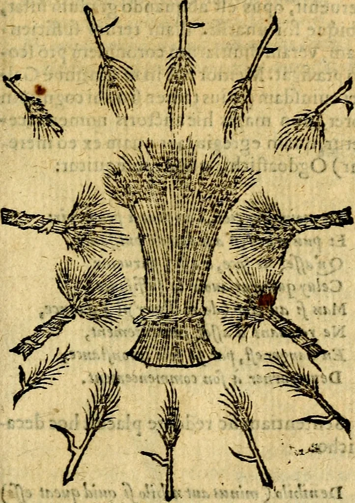An illustration from Symbola heroica, 1583, leaf 226