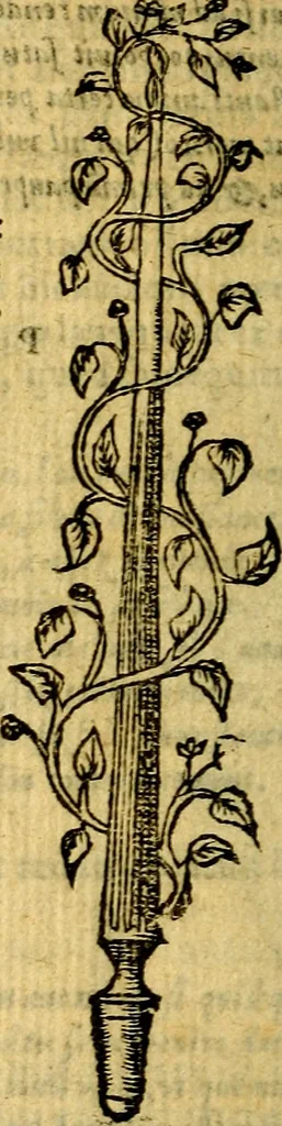 An illustration from Symbola heroica, 1583, leaf 229