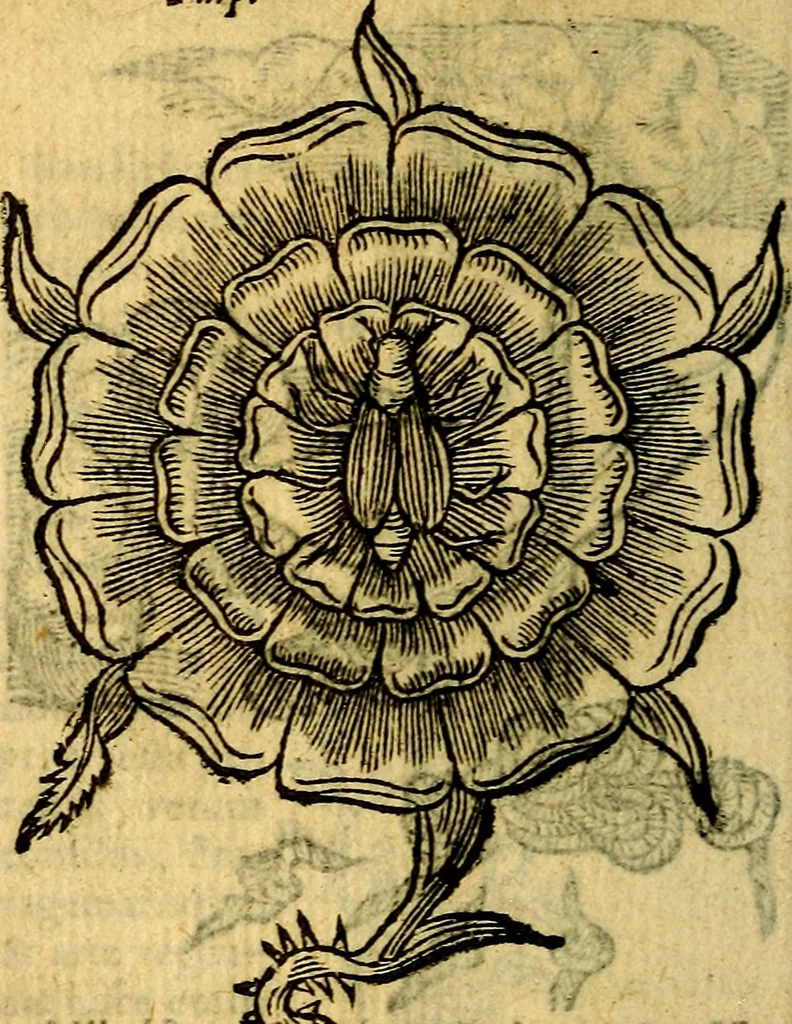 An illustration from Symbola heroica, 1583, leaf 231