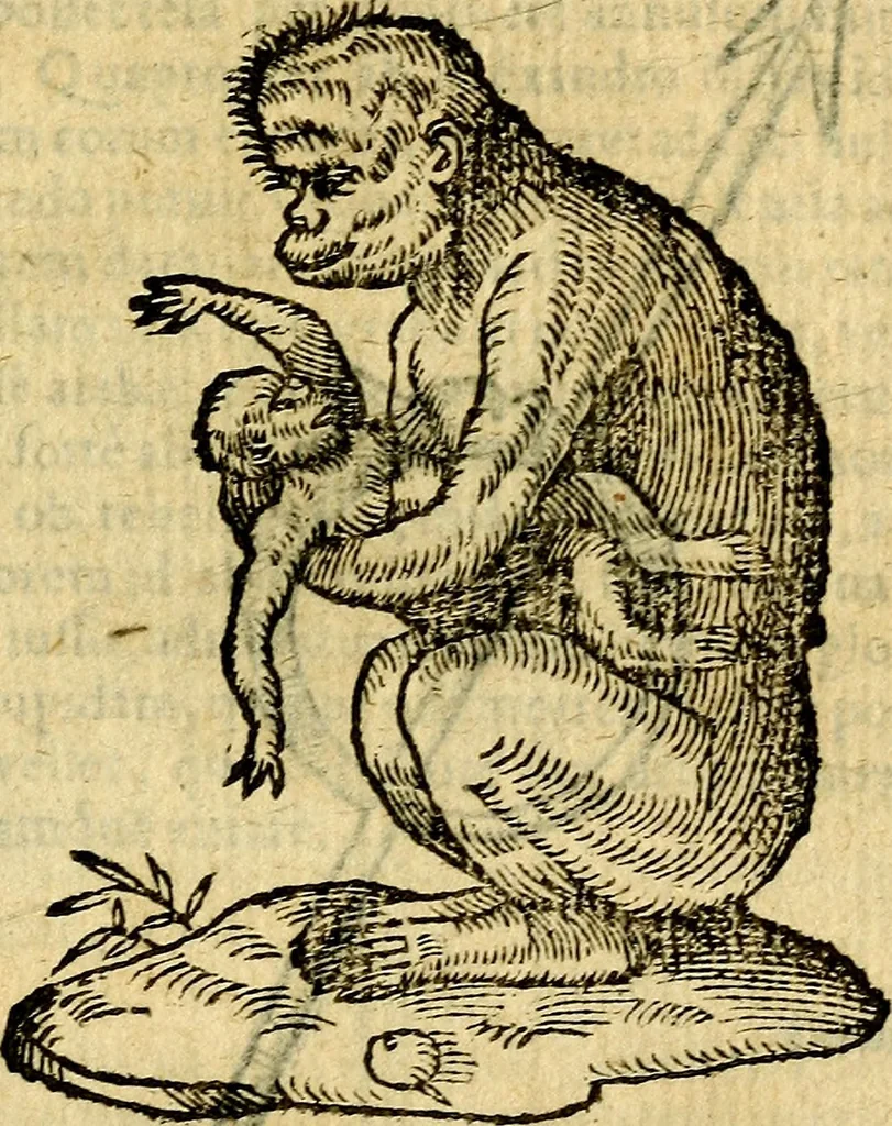 An illustration from Symbola heroica, 1583, leaf 238