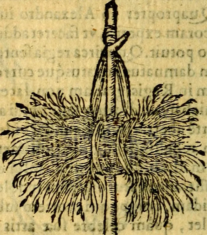 An illustration from Symbola heroica, 1583, leaf 241