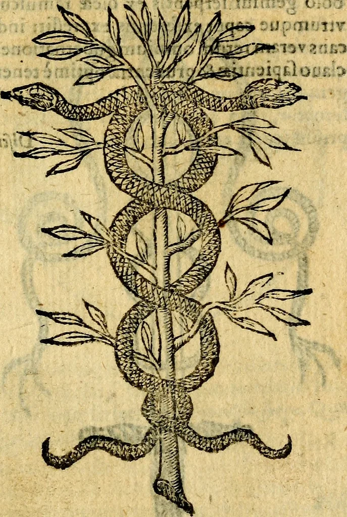 An illustration from Symbola heroica, 1583, leaf 246