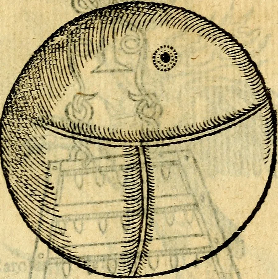 An illustration from Symbola heroica, 1583, leaf 250
