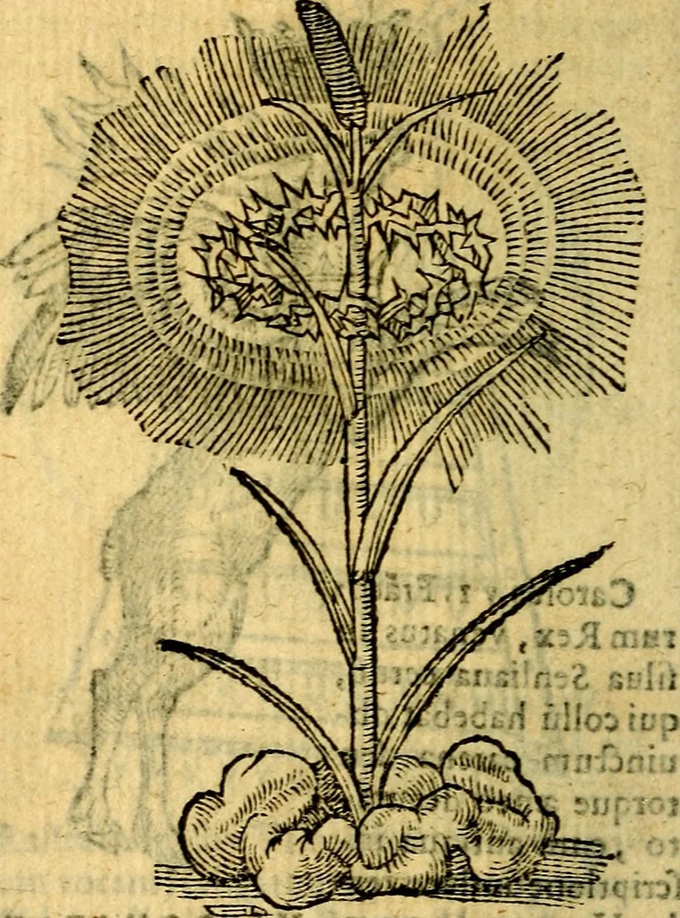 An illustration from Symbola heroica, 1583, leaf 253
