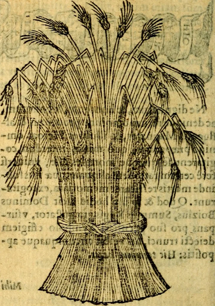 An illustration from Symbola heroica, 1583, leaf 257