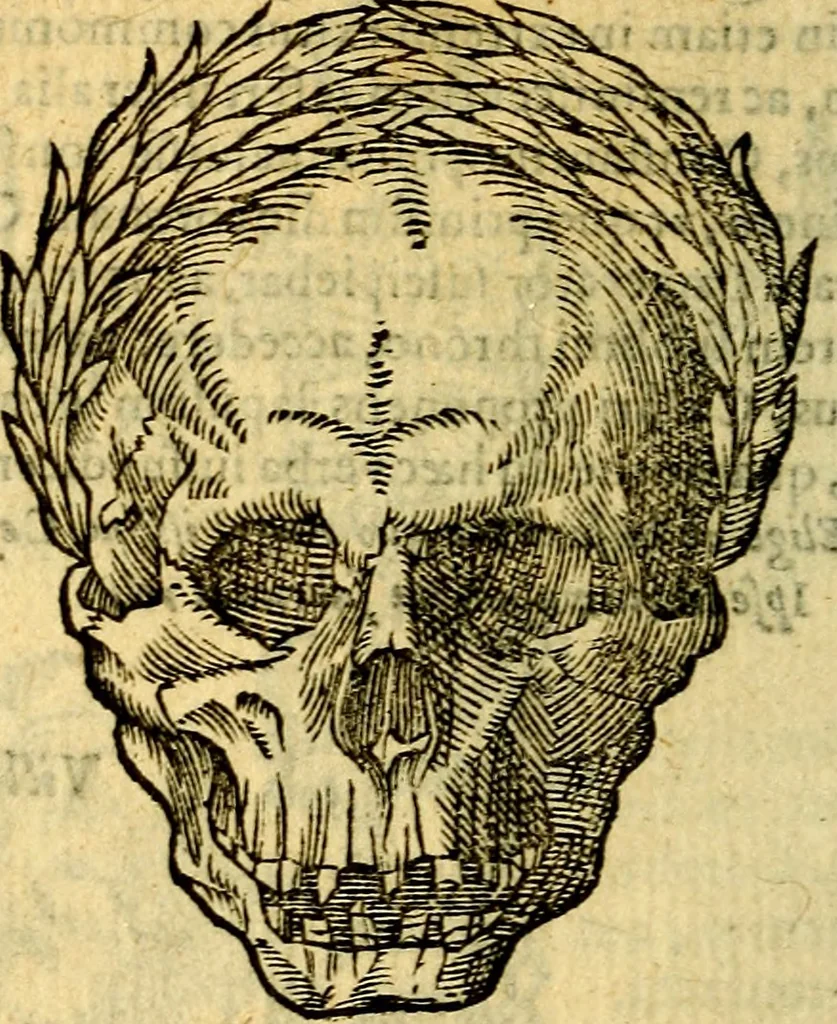 An illustration from Symbola heroica, 1583, leaf 271