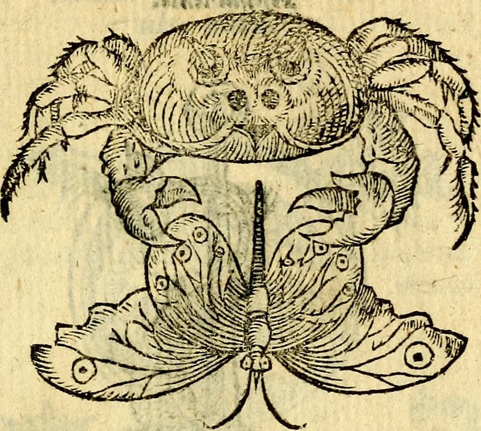 An illustration from Symbola heroica, 1583, leaf 276