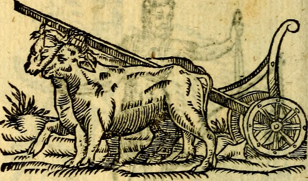 An illustration from Symbola heroica, 1583, leaf 295