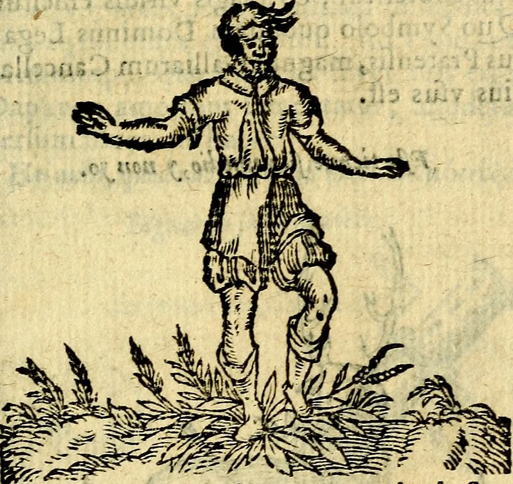An illustration from Symbola heroica, 1583, leaf 302