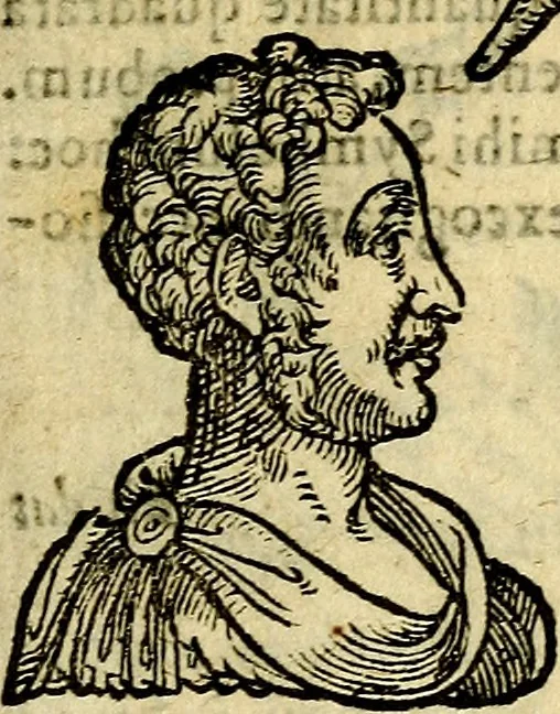 An illustration from Symbola heroica, 1583, leaf 308