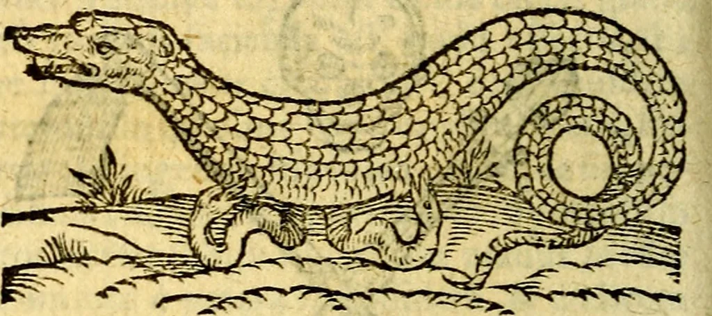 An illustration from Symbola heroica, 1583, leaf 319