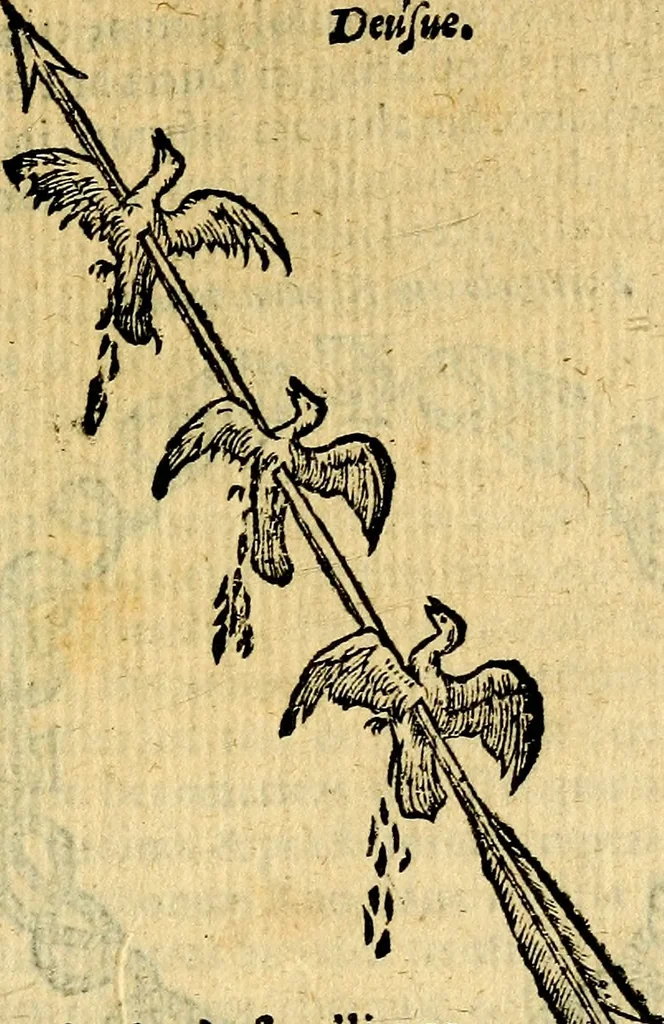 An illustration from Symbola heroica, 1583, leaf 42