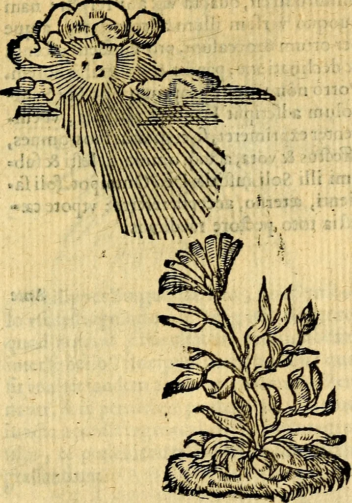 An illustration from Symbola heroica, 1583, leaf 46
