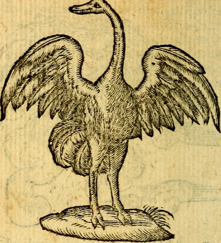 An illustration from Symbola heroica, 1583, leaf 55