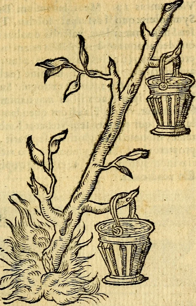 An illustration from Symbola heroica, 1583, leaf 56