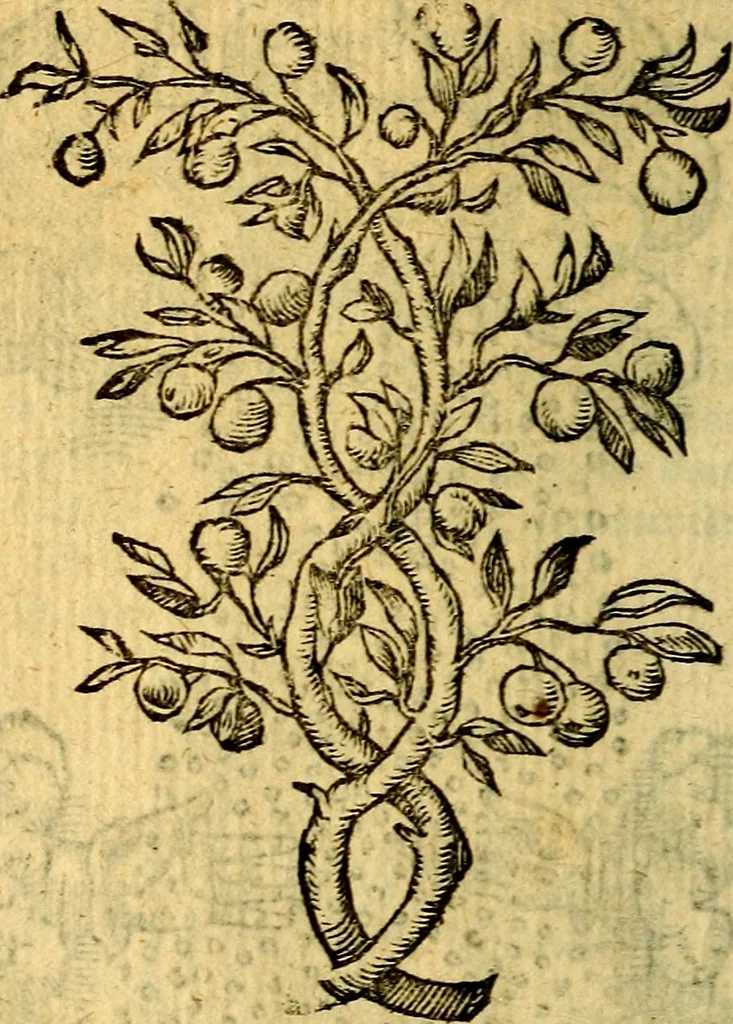 An illustration from Symbola heroica, 1583, leaf 63