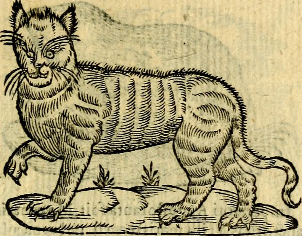 An illustration from Symbola heroica, 1583, leaf 68