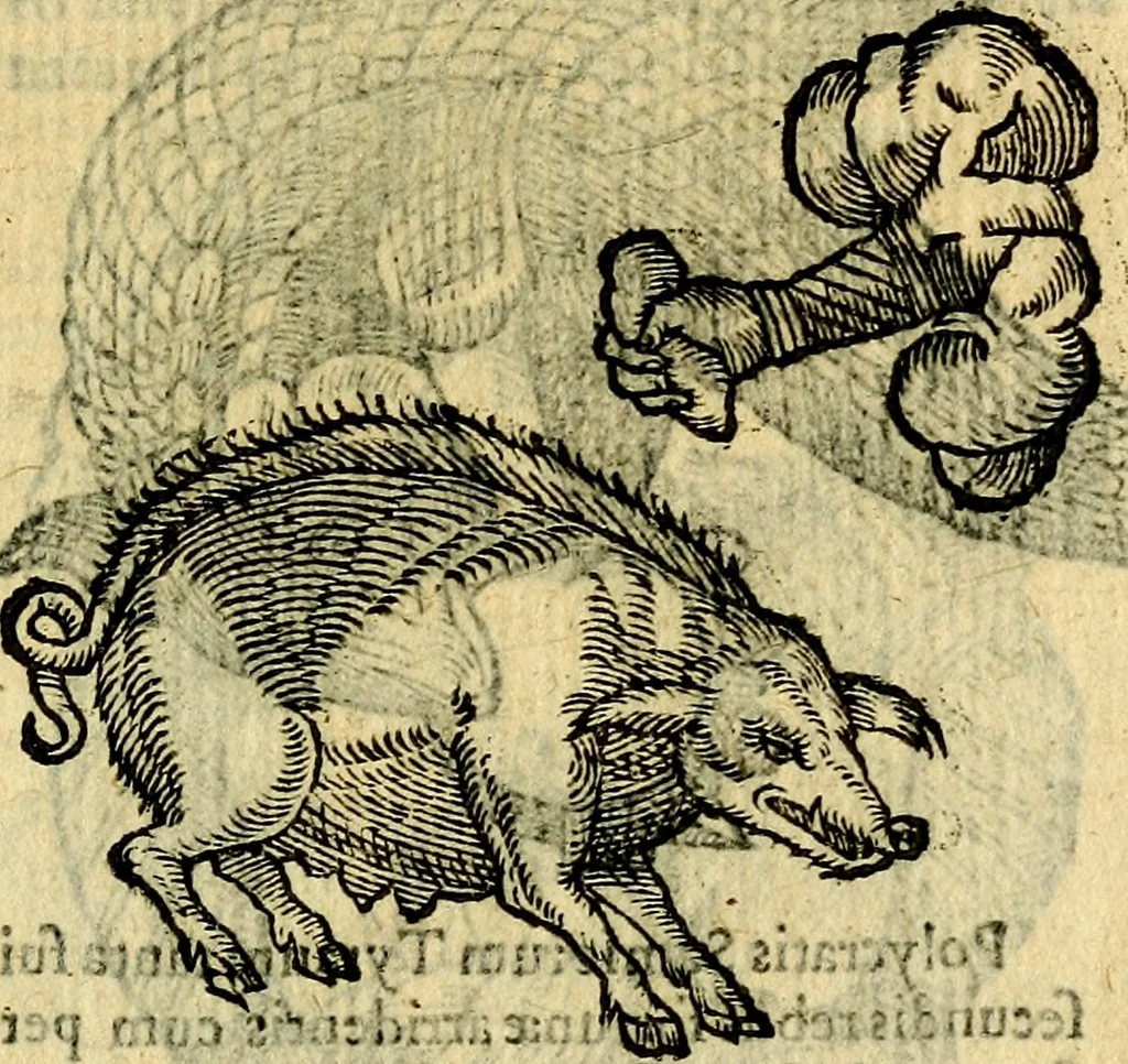 An illustration from Symbola heroica, 1583, leaf 86